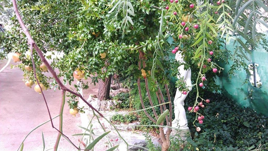 Alojamiento Rural La Caseria De Piedra Restaurante Jaén Eksteriør bilde